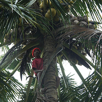 Photo de Bali - Ubud